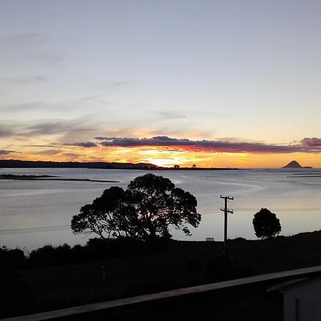 Ohiwa Harbour Studio Apartment Waiotahi Buitenkant foto